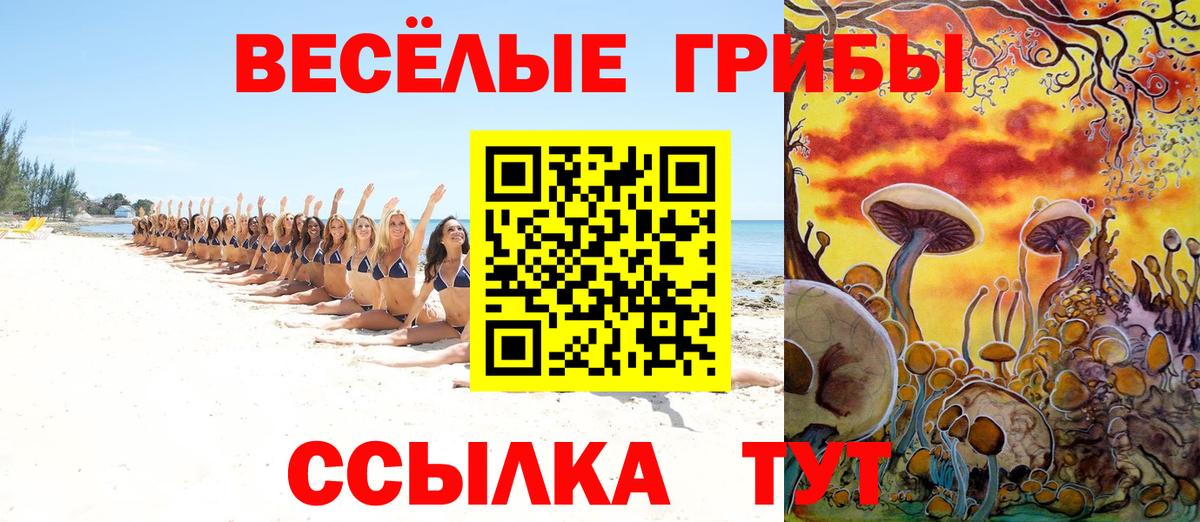 Галлюциногенные грибы Psilocybe Соль-Илецк